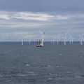 Fahrt an einem Offshore-Windpark vorbei