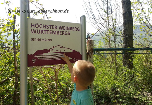 Wanderung auf die Limburg