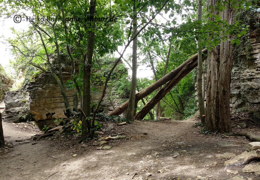 06.2020 Hardtwald & Hessigheimer Felsengärten