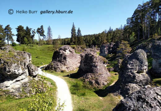 06.2021 Wental & Rosenstein