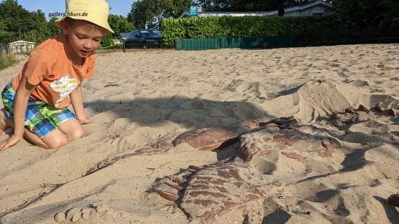 Campingplatz: Sandkasten - da ist ein Dino-Skelett drin!