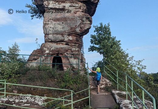 08.2023 Pfälzer Wald